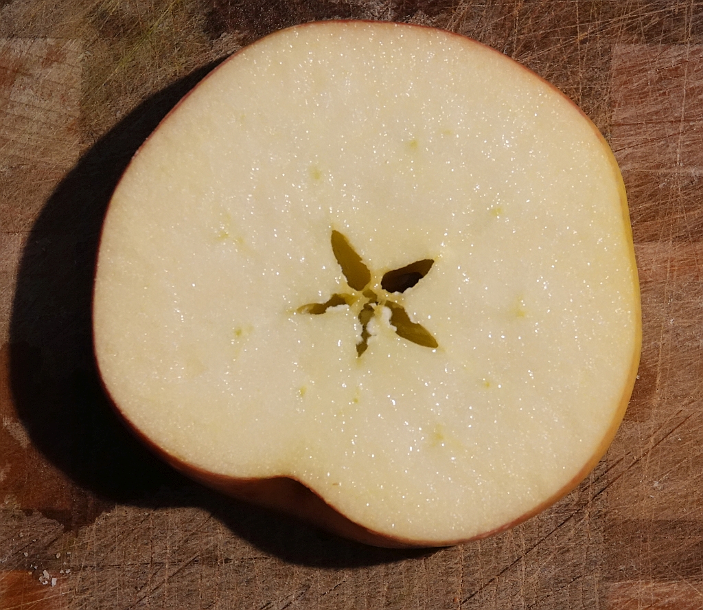 Apfelm&auml;nnchen