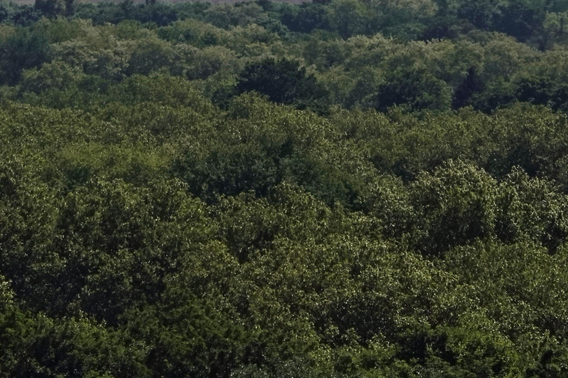 220515.026_32