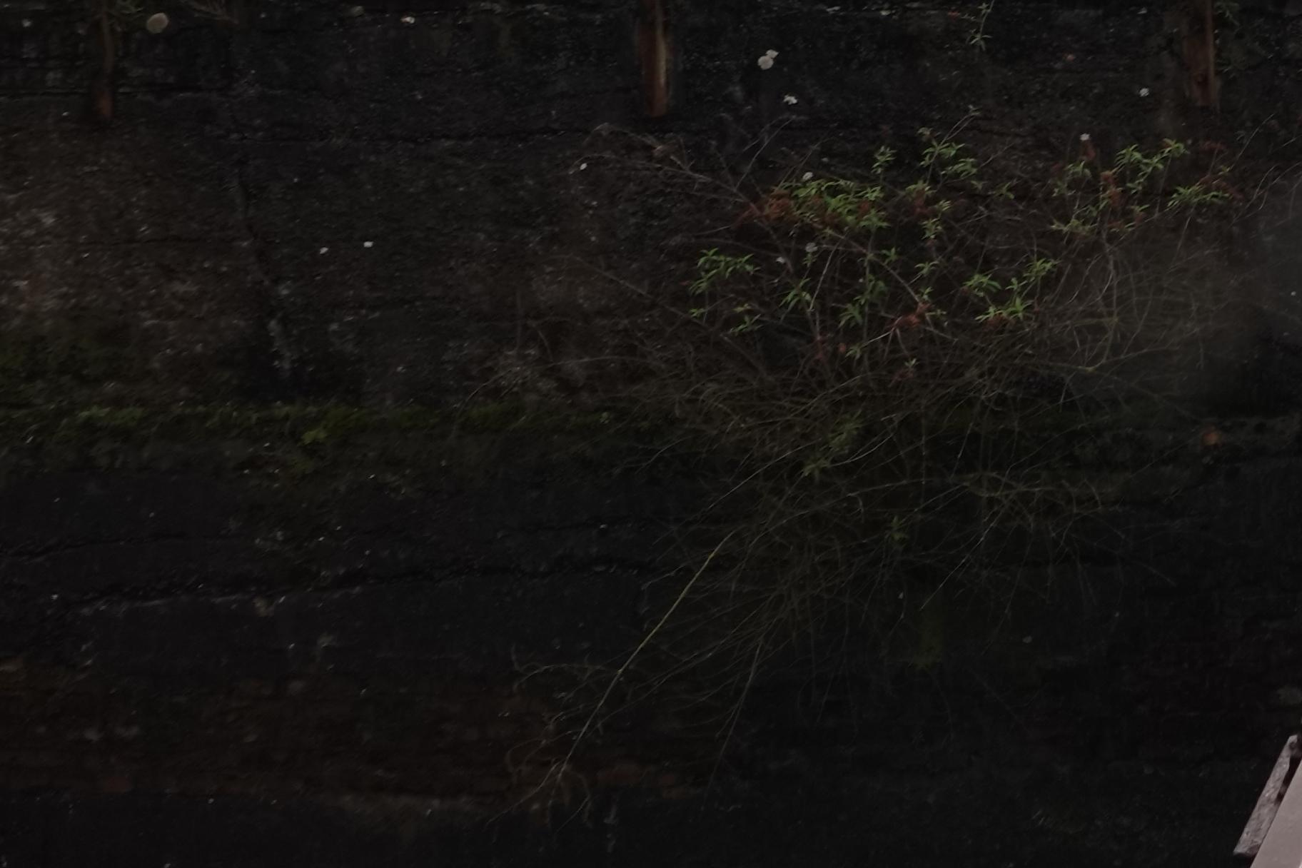 240225.036_31