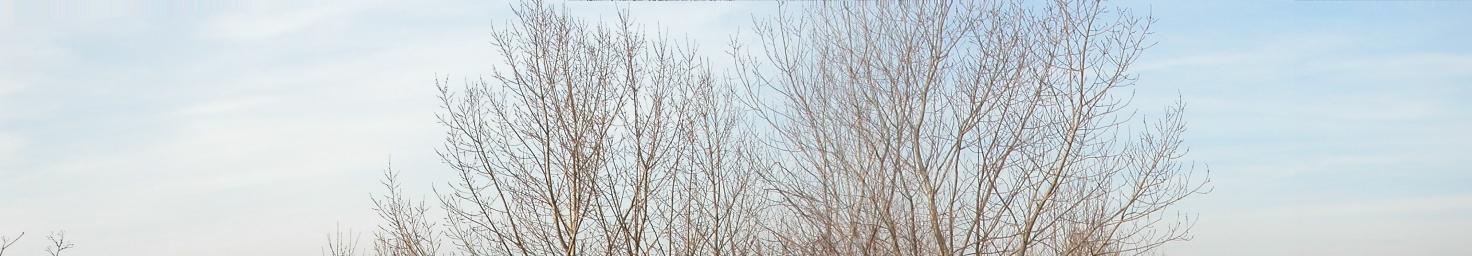 050321.08.Panorama_11