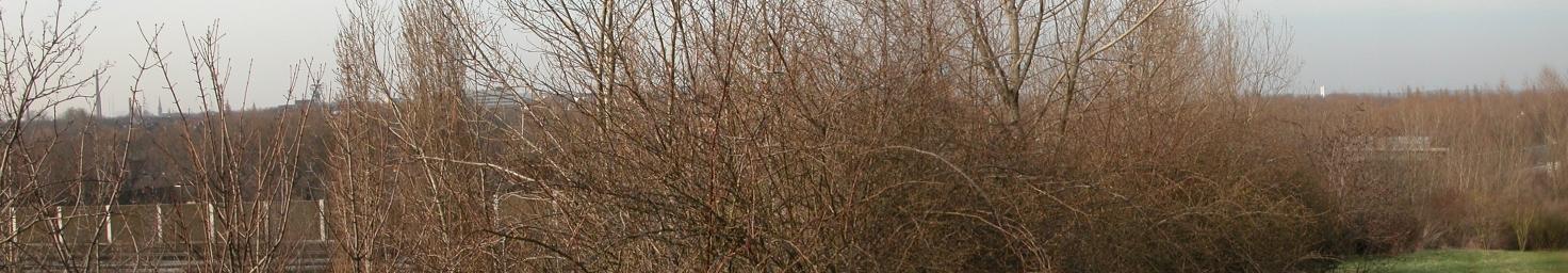 050321.08.Panorama_21