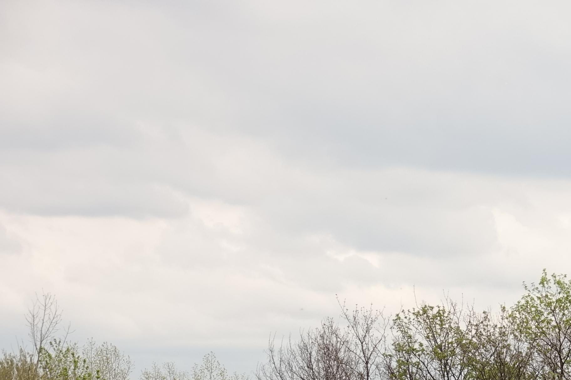 190417.030_11