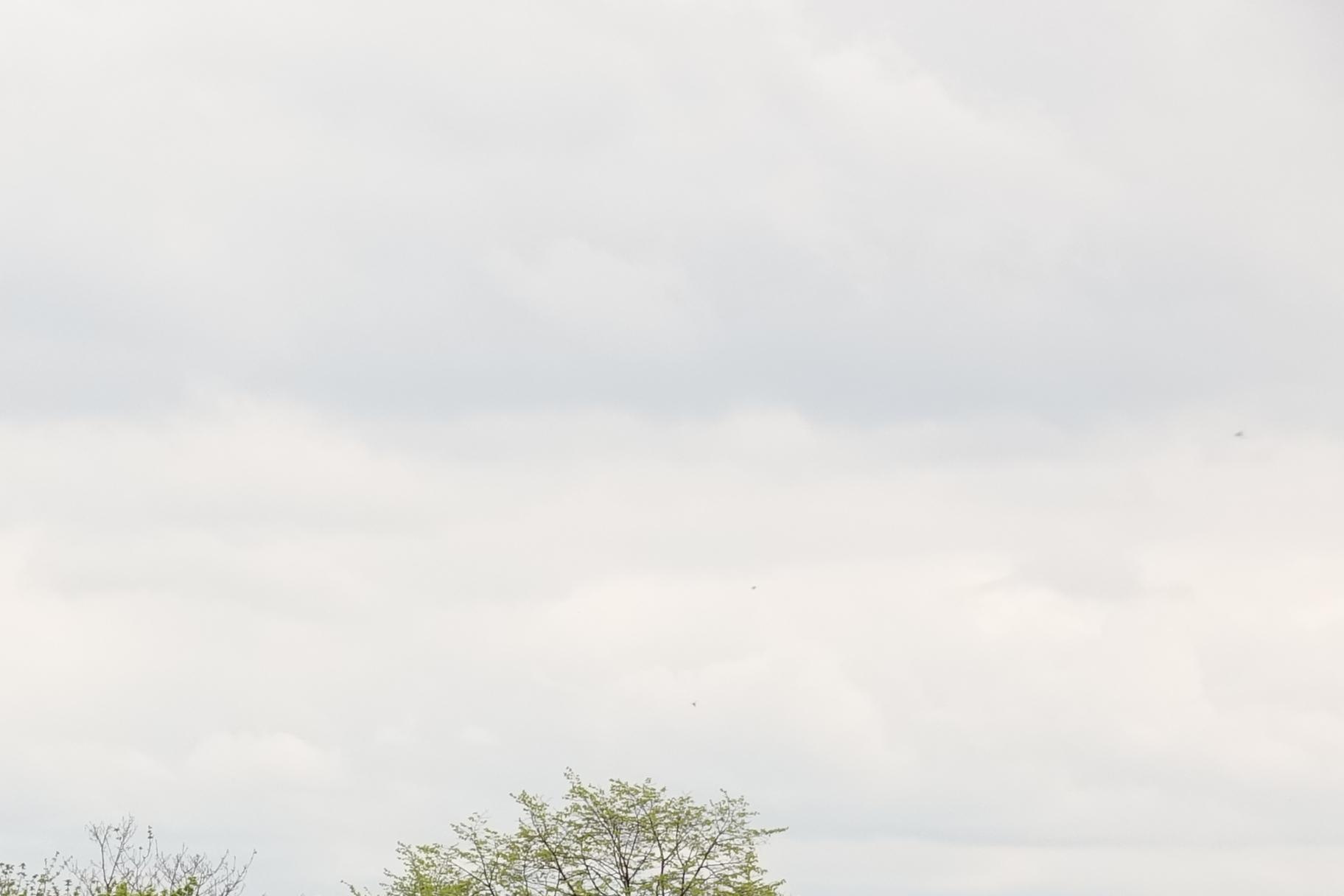 190417.030_13