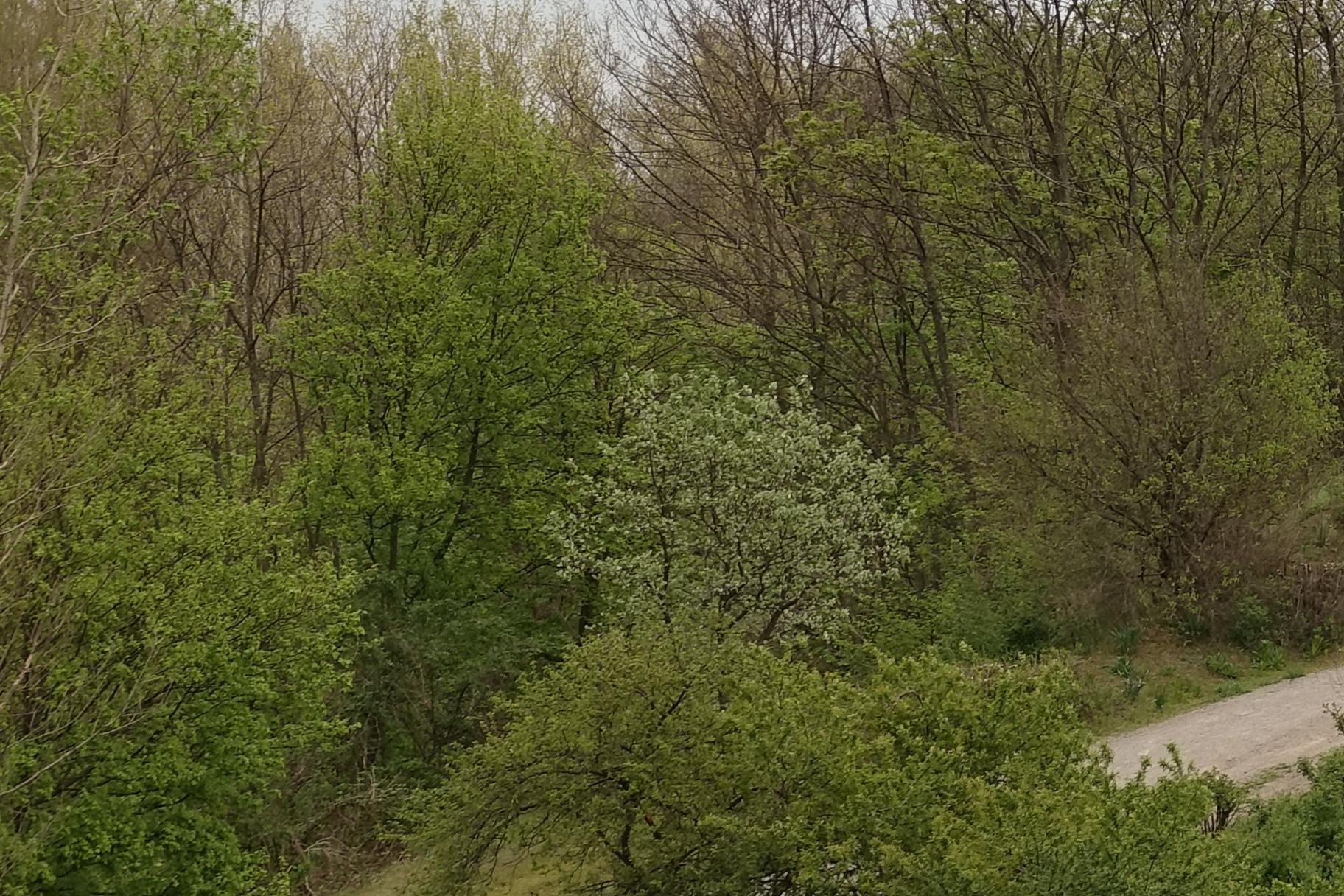 190417.030_21