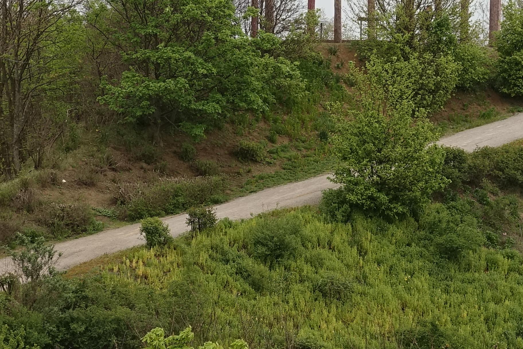 190417.030_22