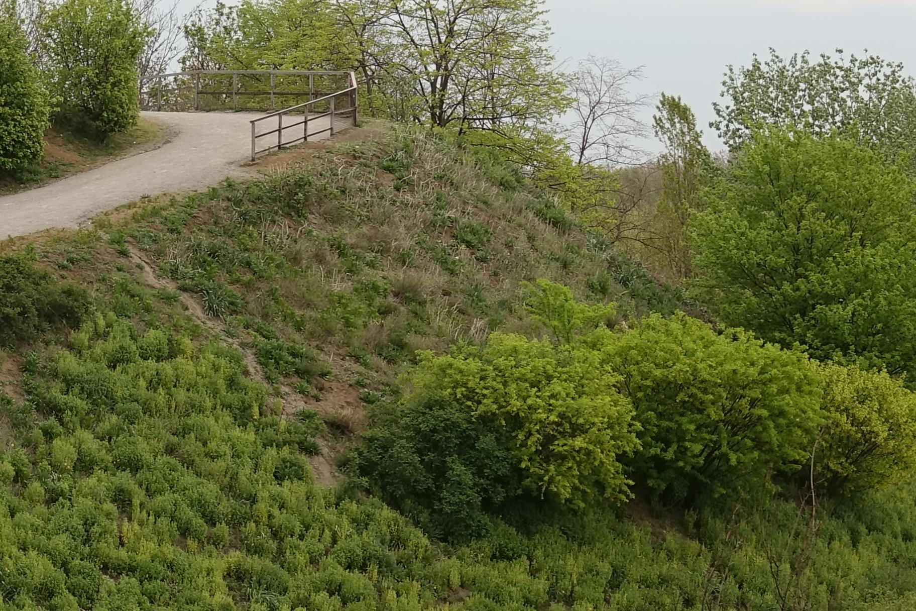 190417.030_23