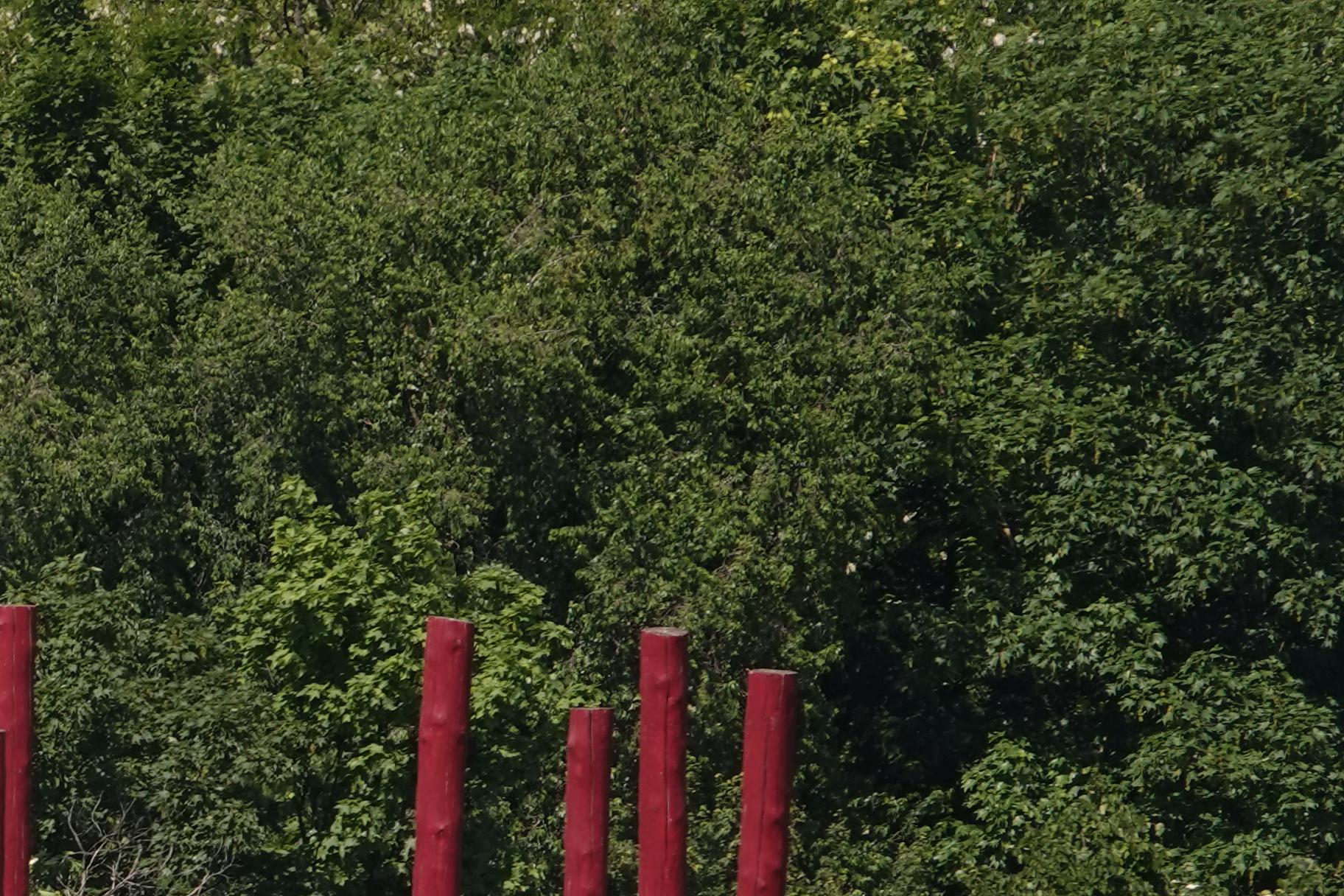 220515.035_13