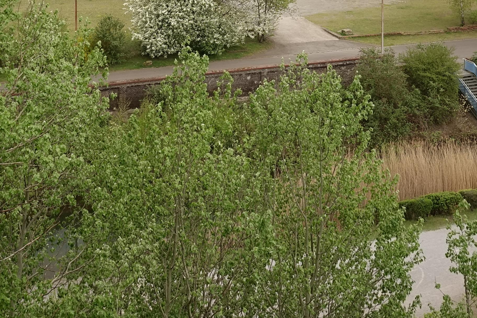 190417.016.DU-ATH_32