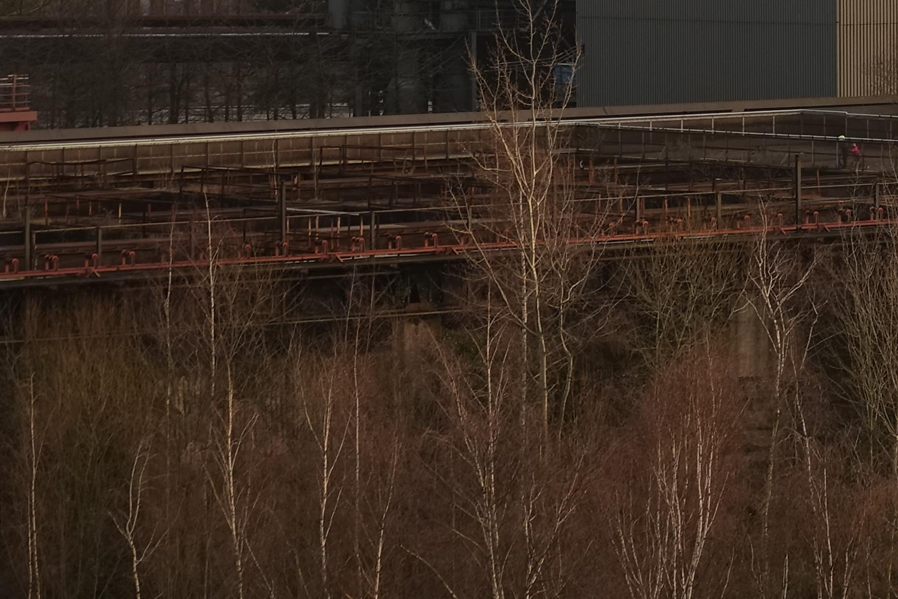 200126.133.Landschaftspark_31