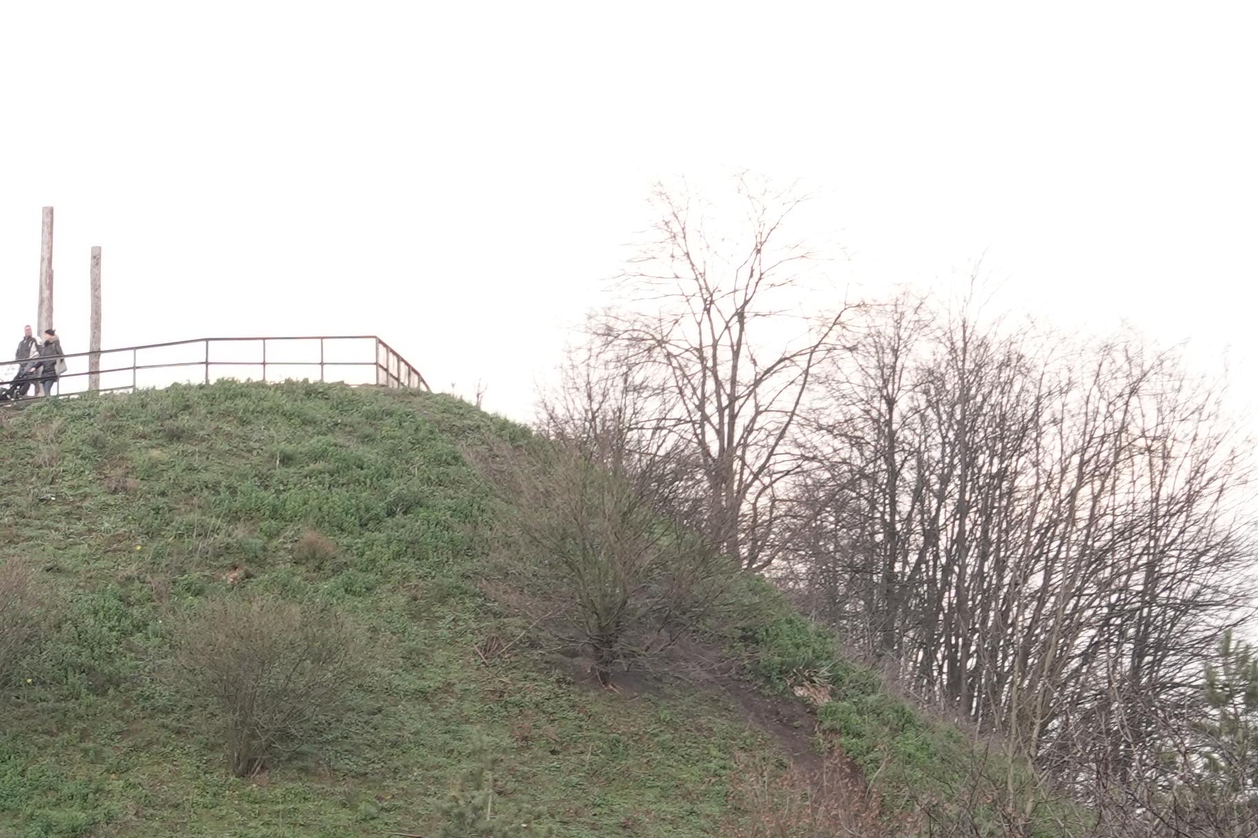 210110.055.Landschaftspark_13