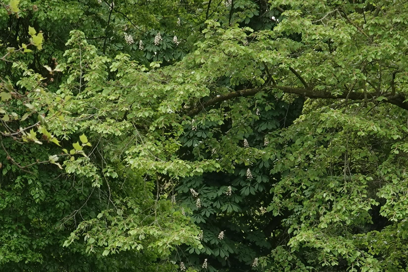 230507.012_12