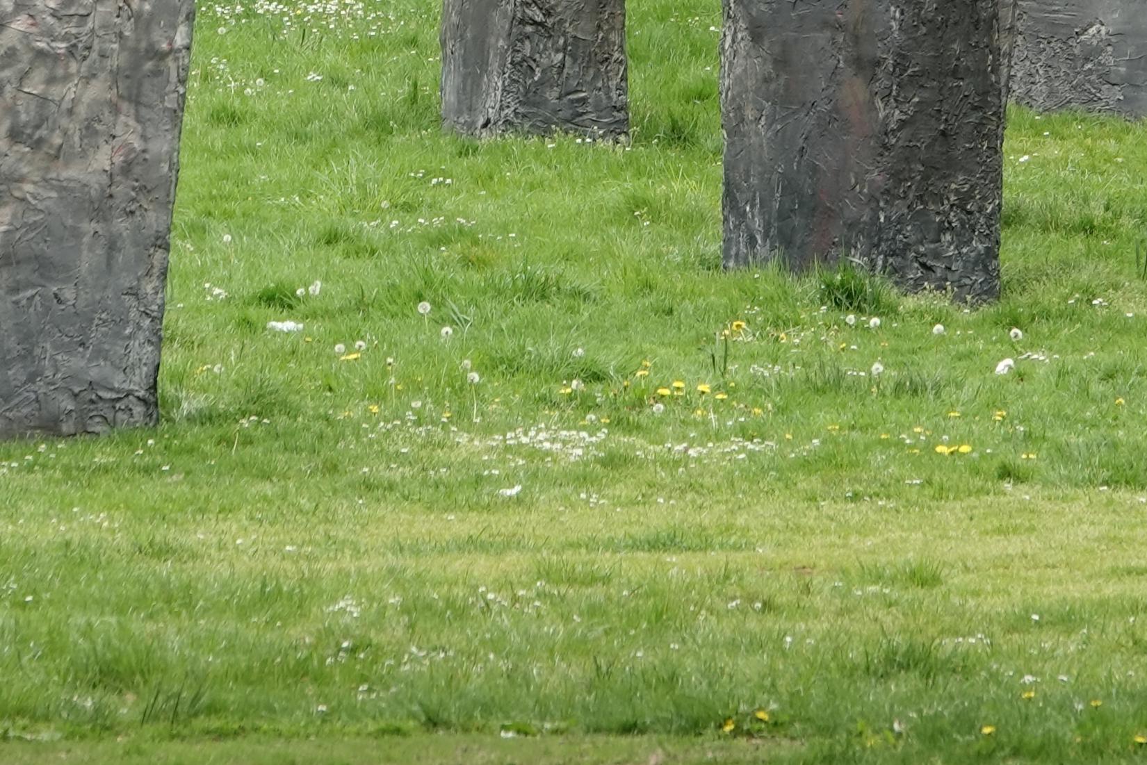 230507.012_32