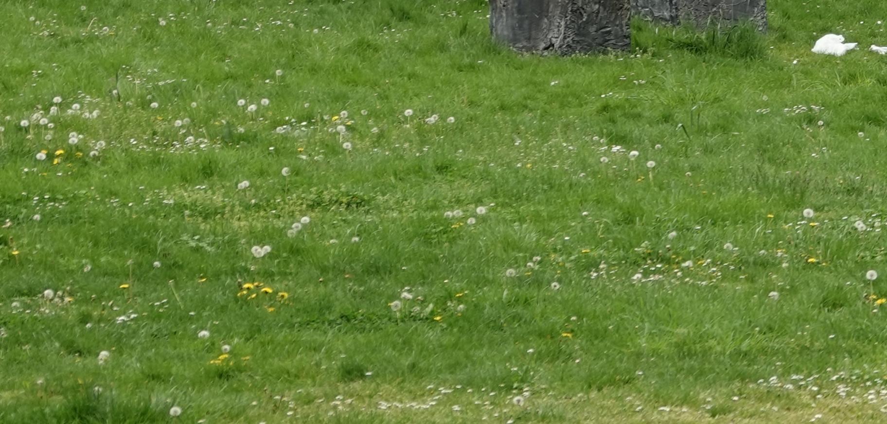 230507.013_31
