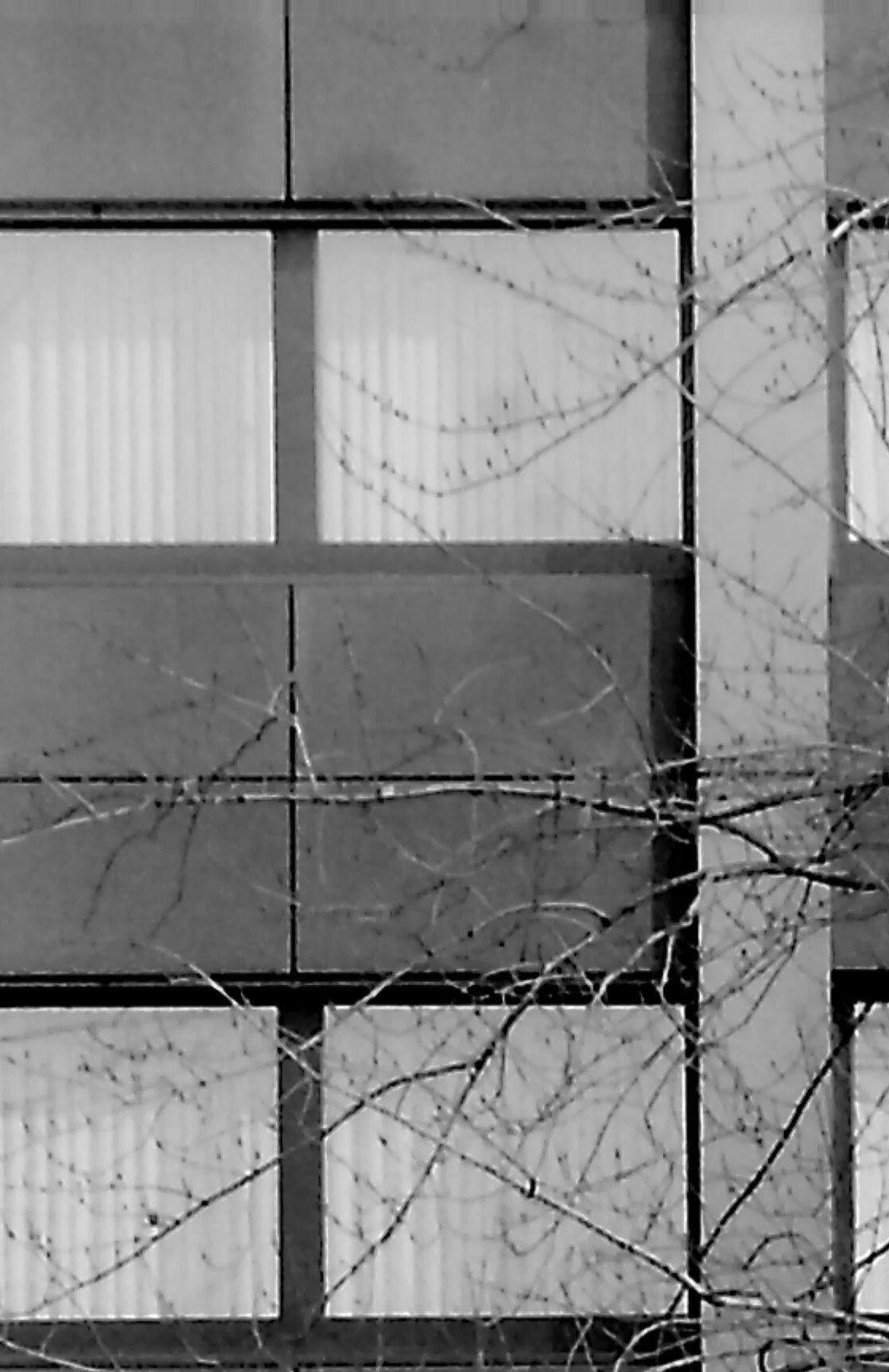 920217.n397.035_11