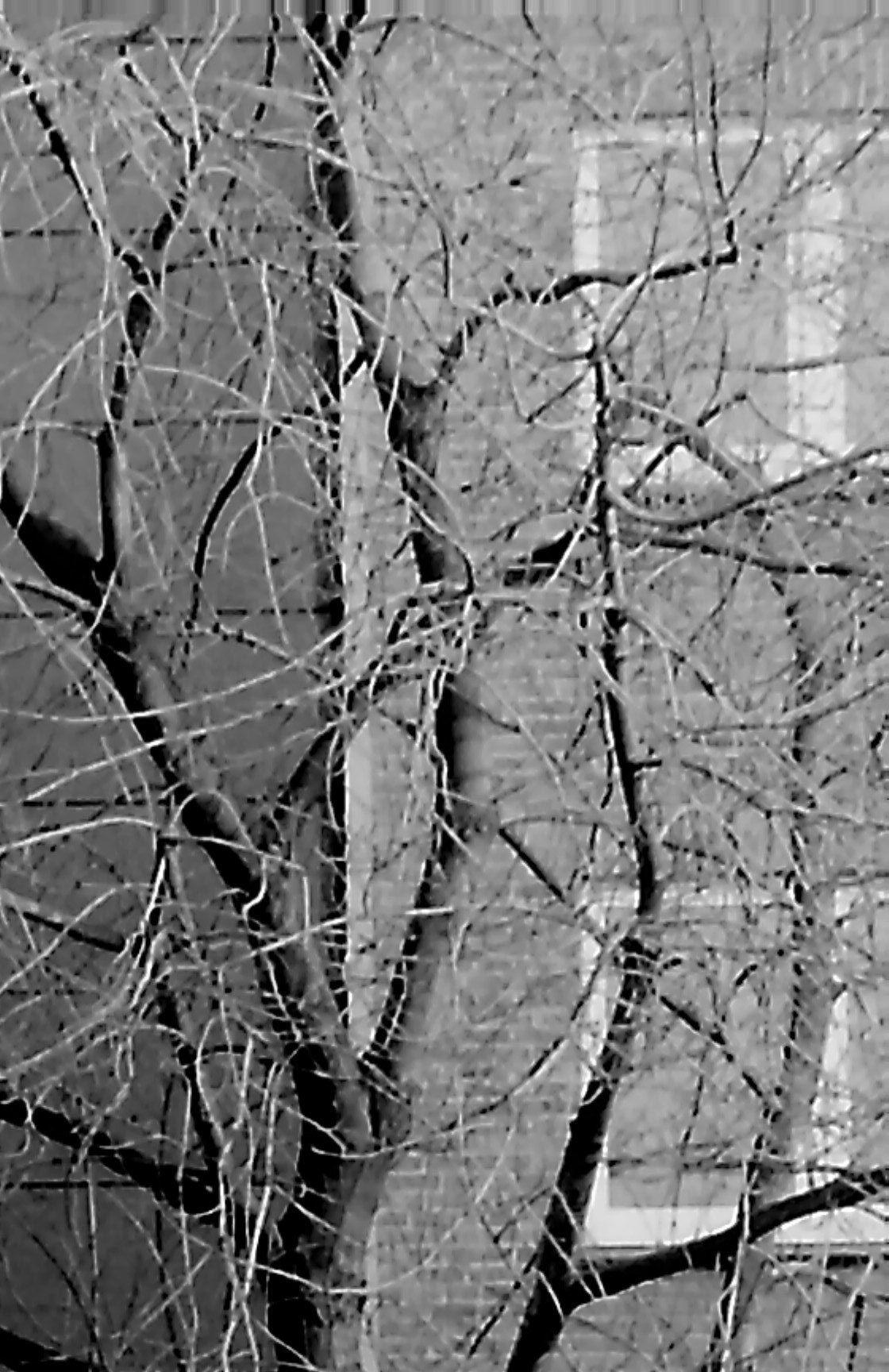 920217.n397.035_13