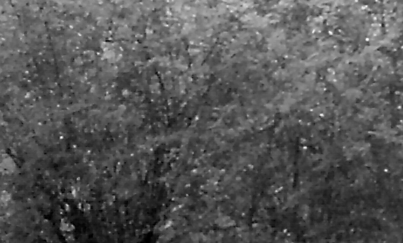 920217.n397.037_13