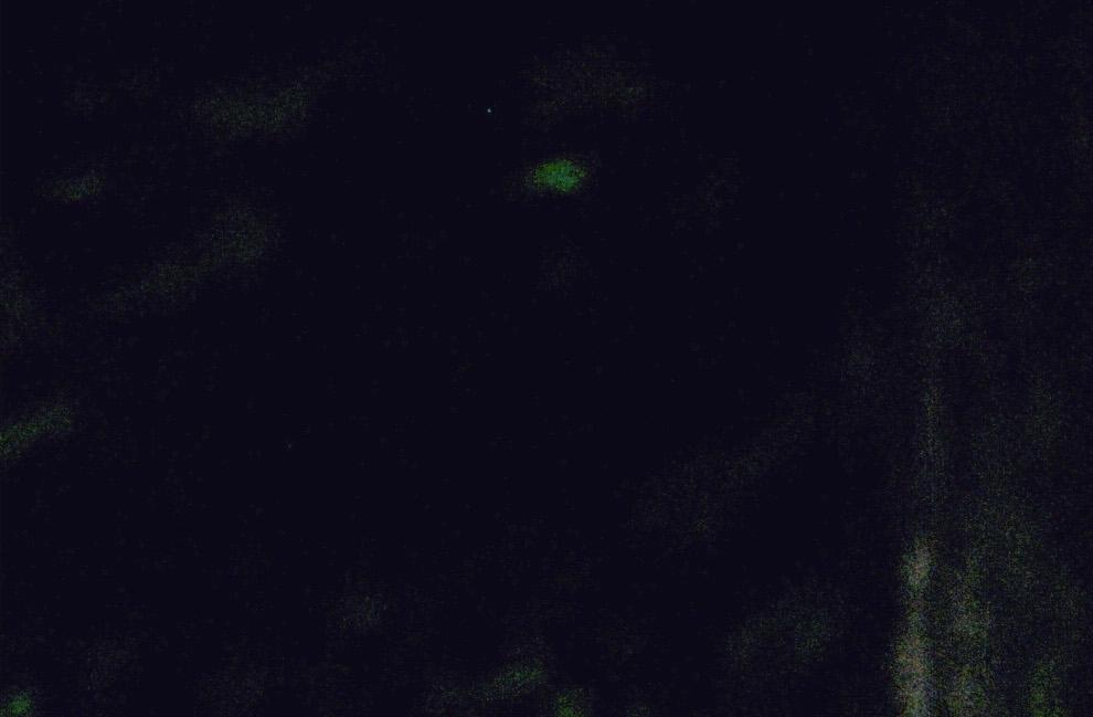 CD205.41_11