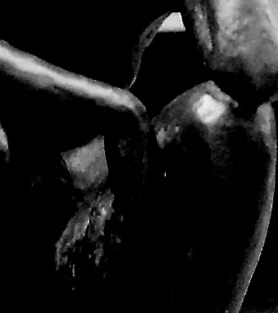 940705.n421a.019_22