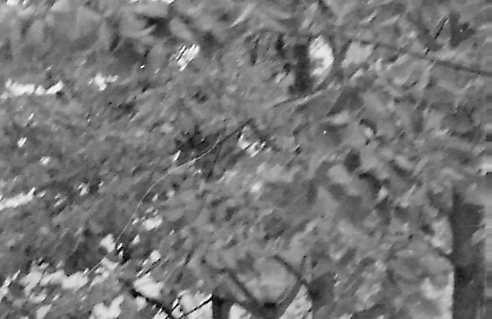 940705.n421a.015_13