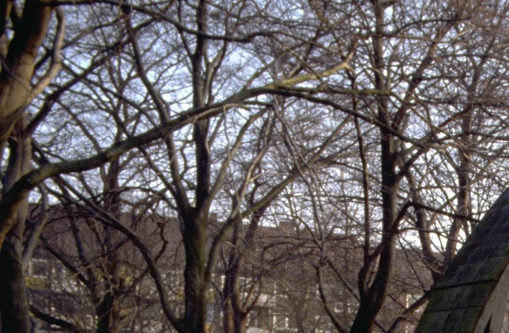 CD205.19_11