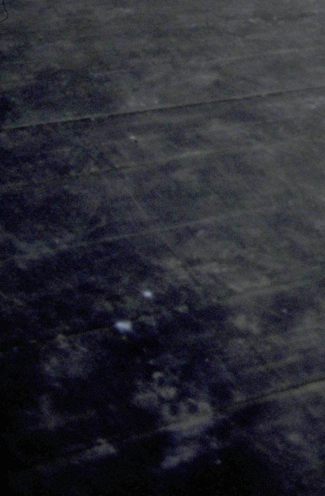 CD205.23_31