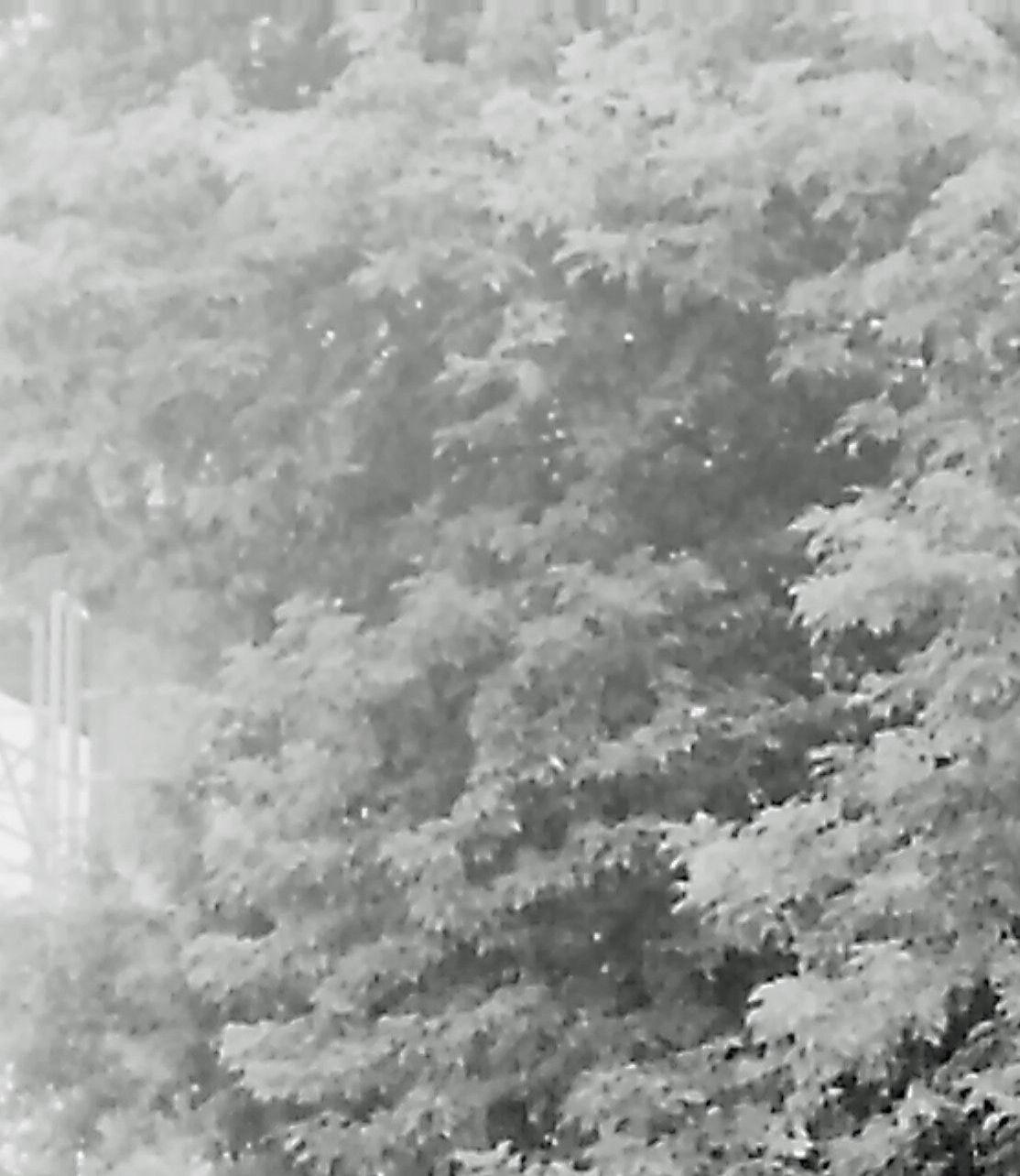 9008xx.n384.028_11