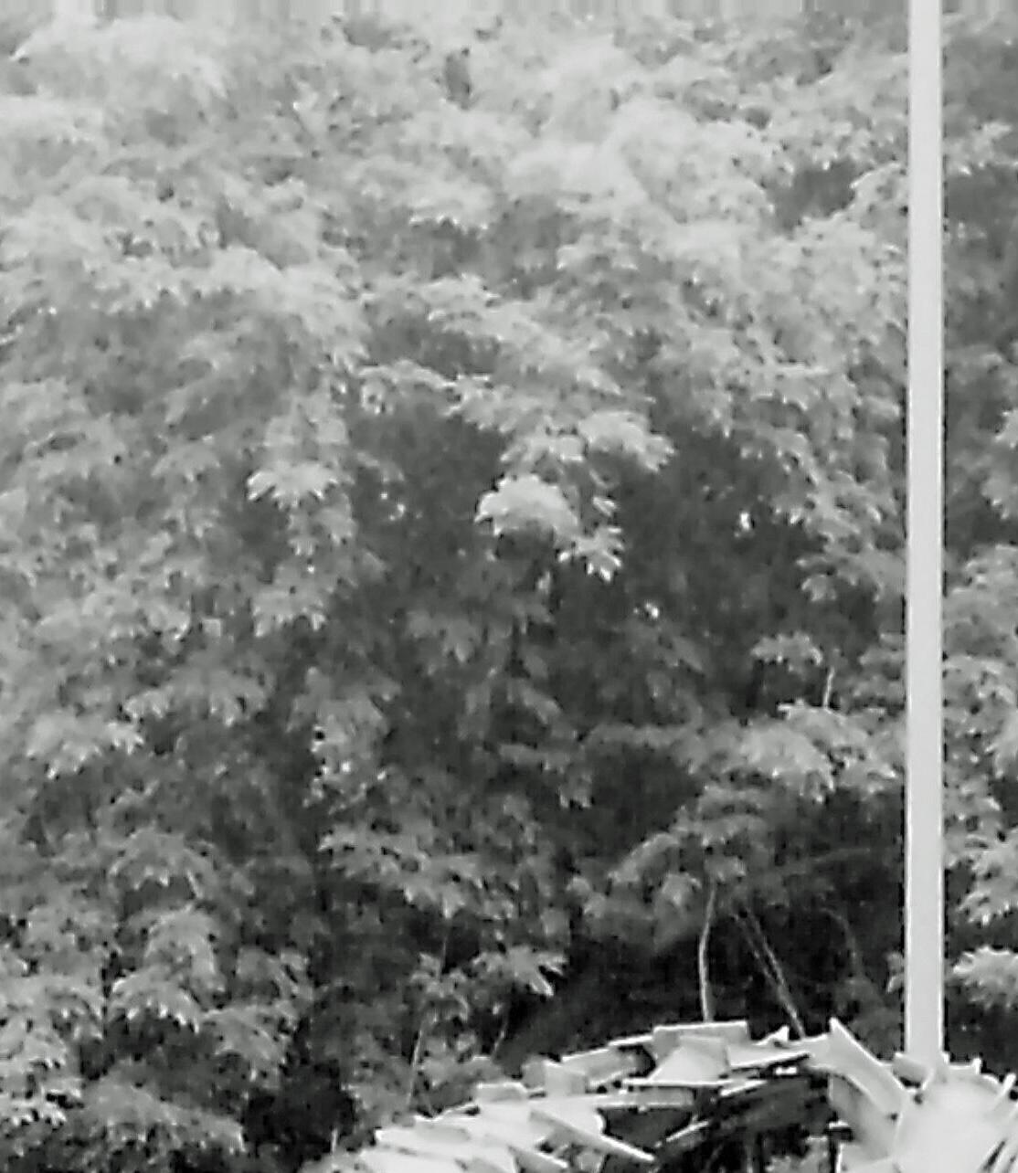 9008xx.n384.028_12