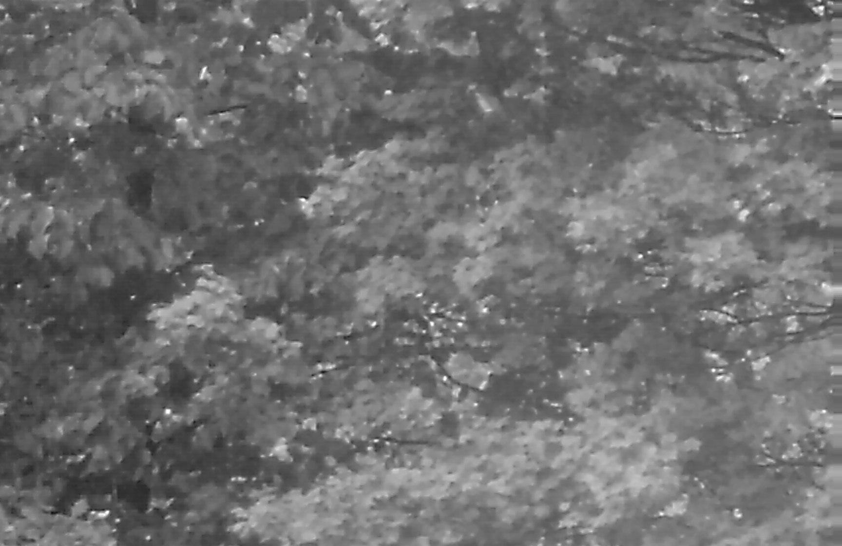 900826.n383.023_13