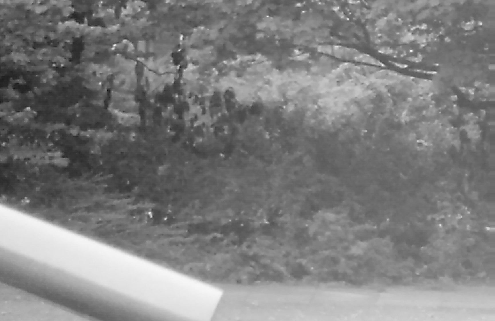 900826.n383.023_23