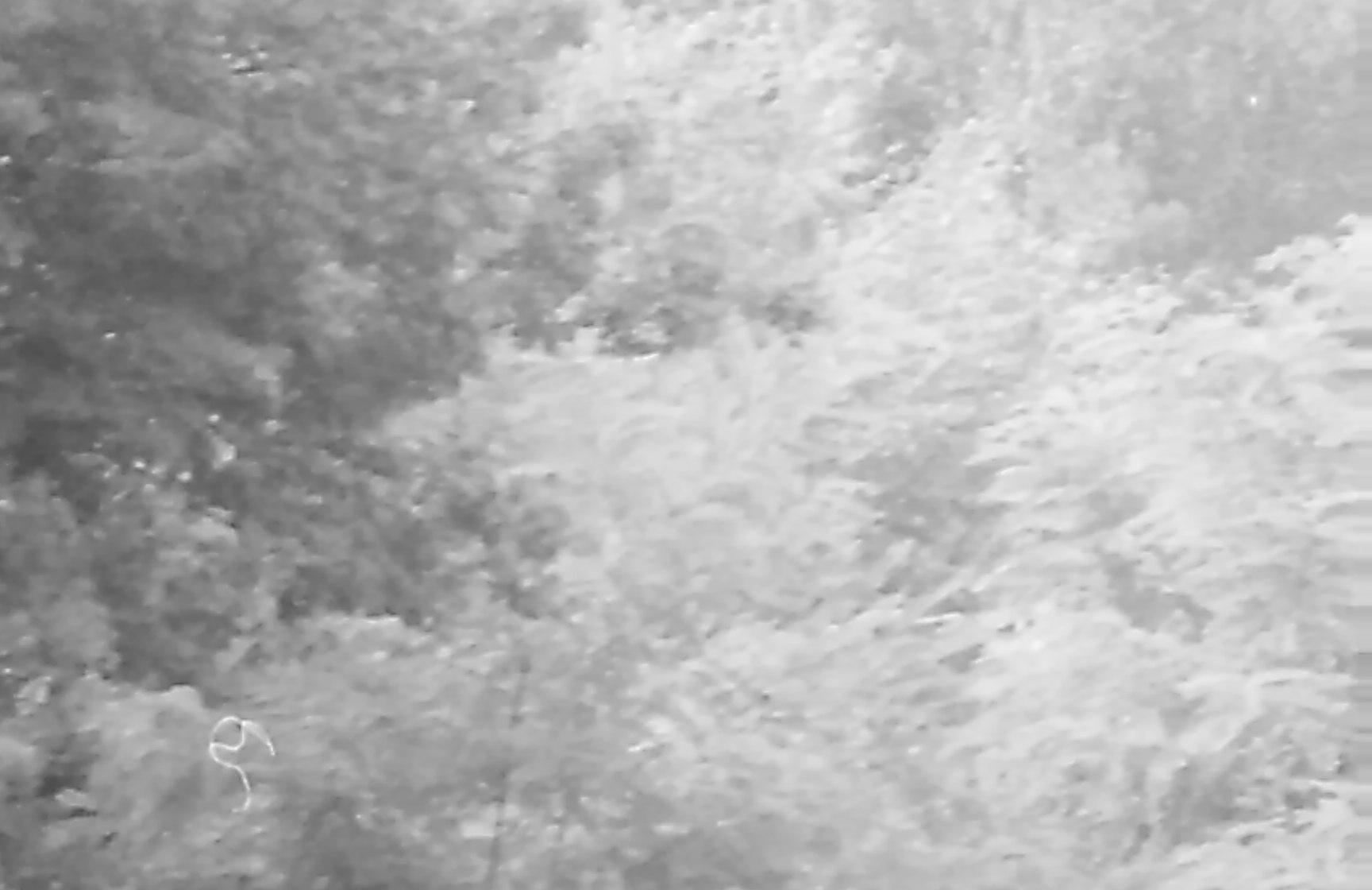 900826.n383.028_13