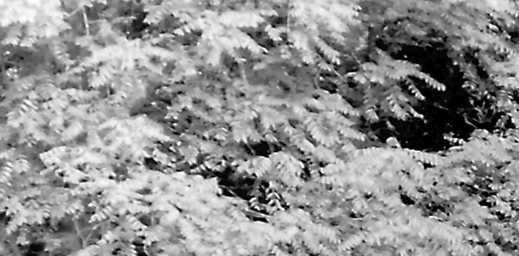 n383.035.Skulptur.900826_11