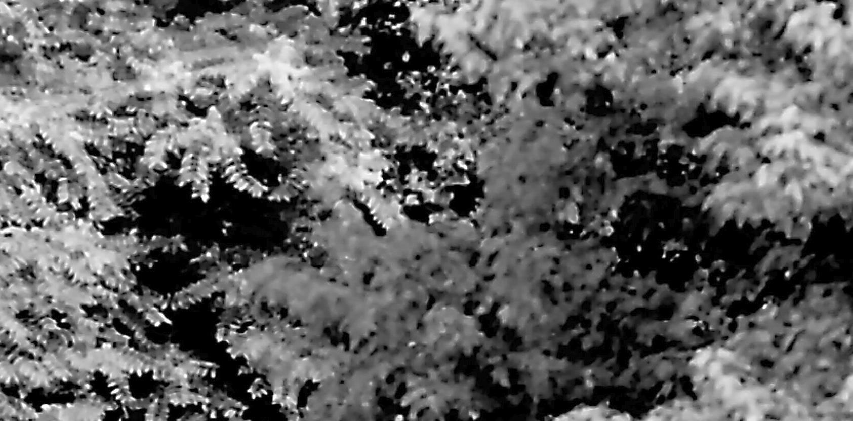 n383.035.Skulptur.900826_12