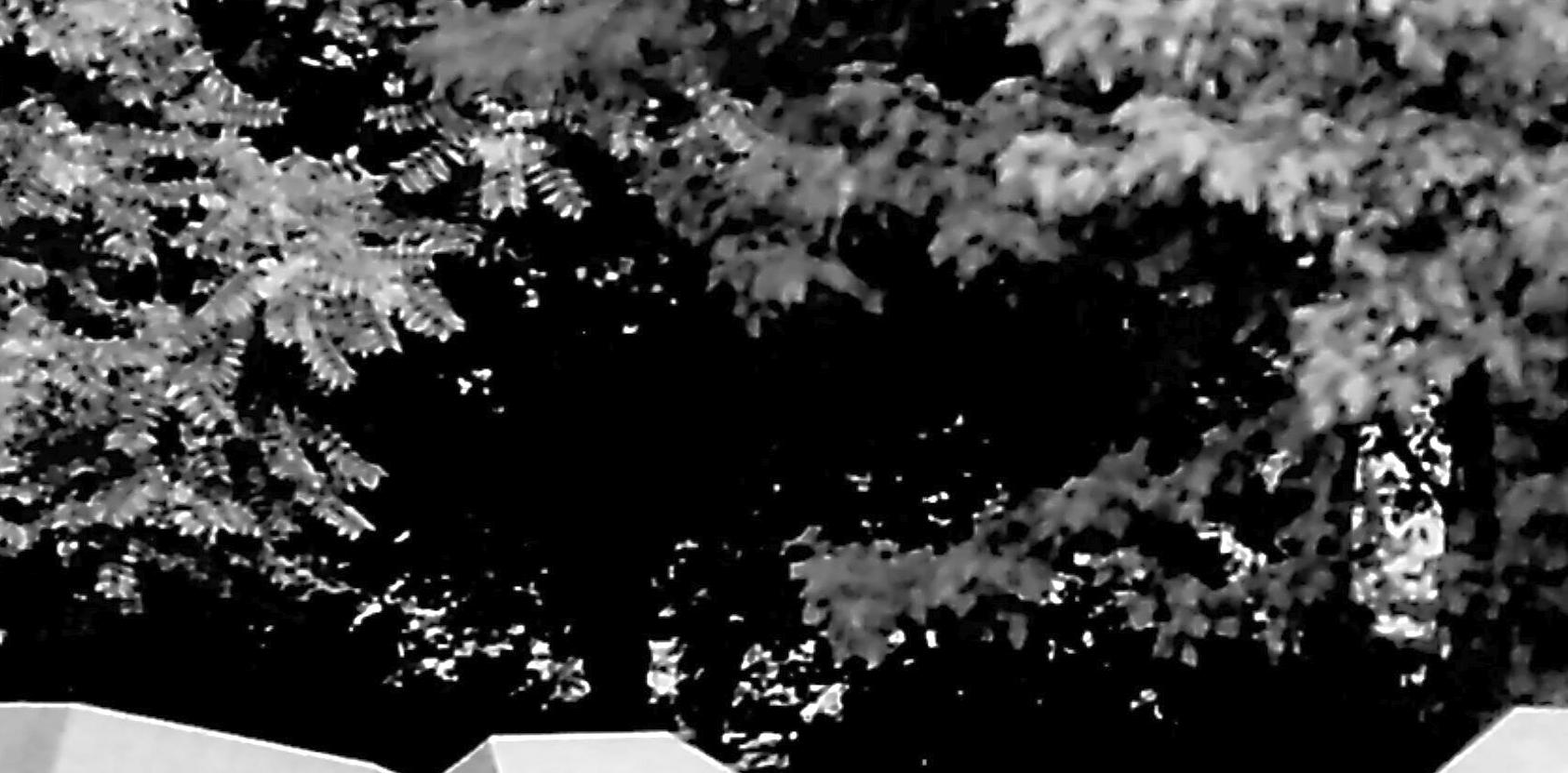 n383.035.Skulptur.900826_22