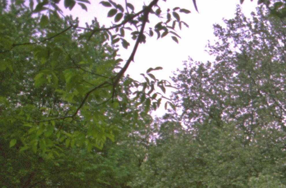 CD201.94_11
