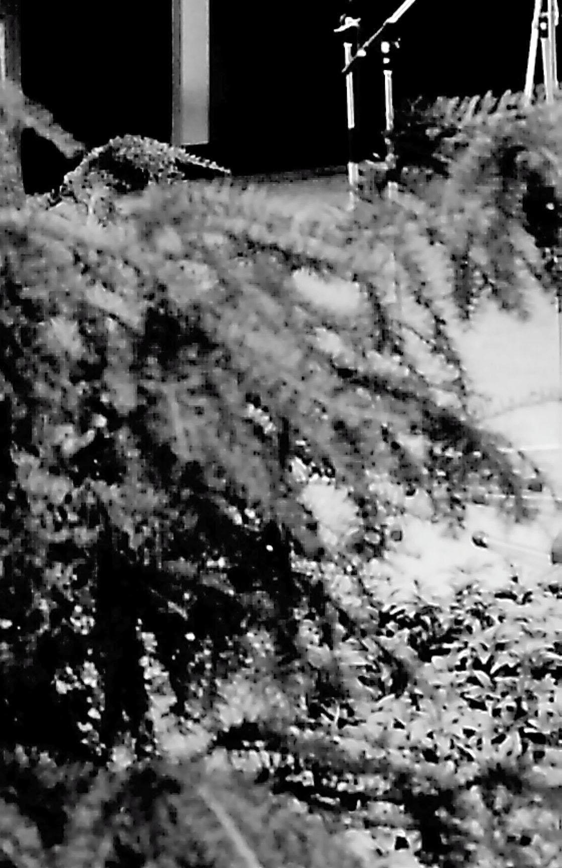9008xx.n384.019_33