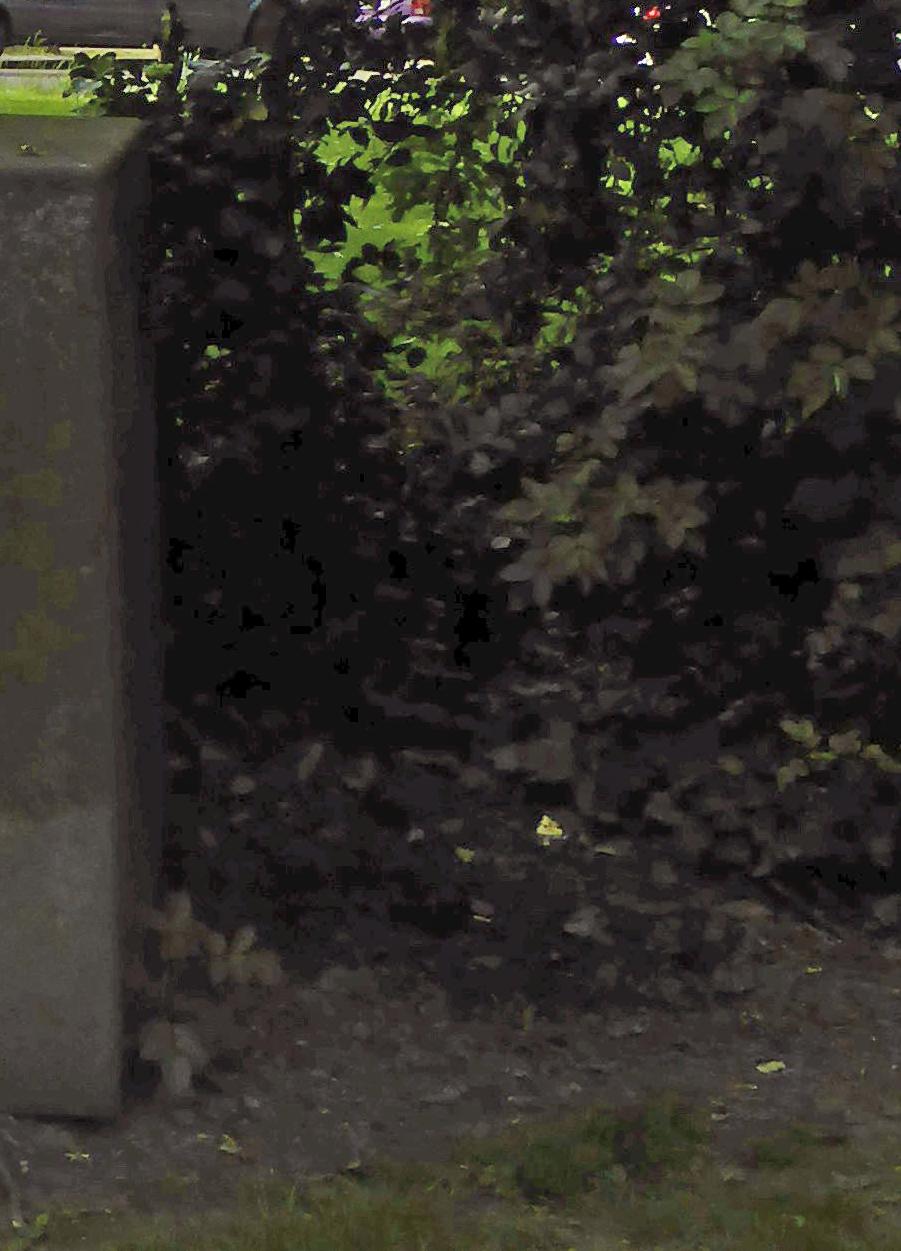 140413.002_33