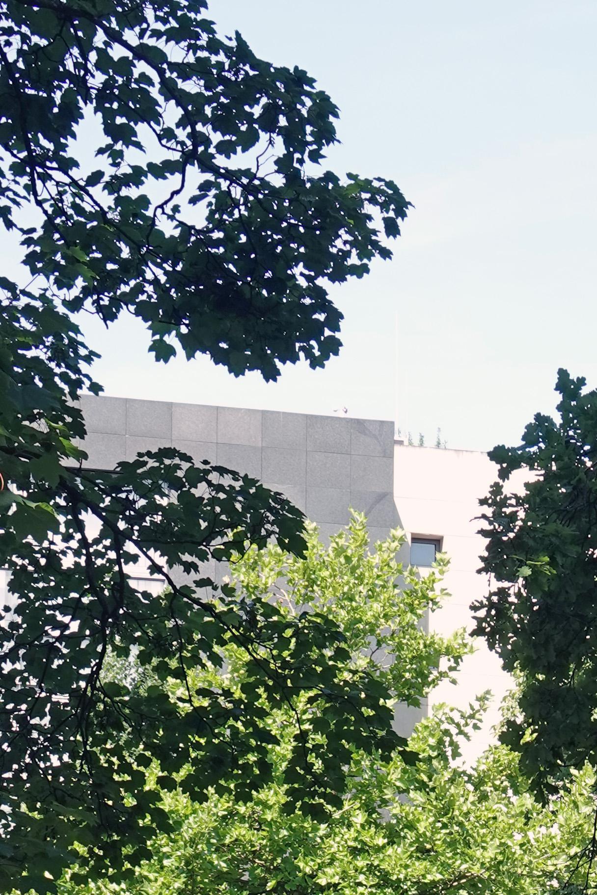 250704.004_11