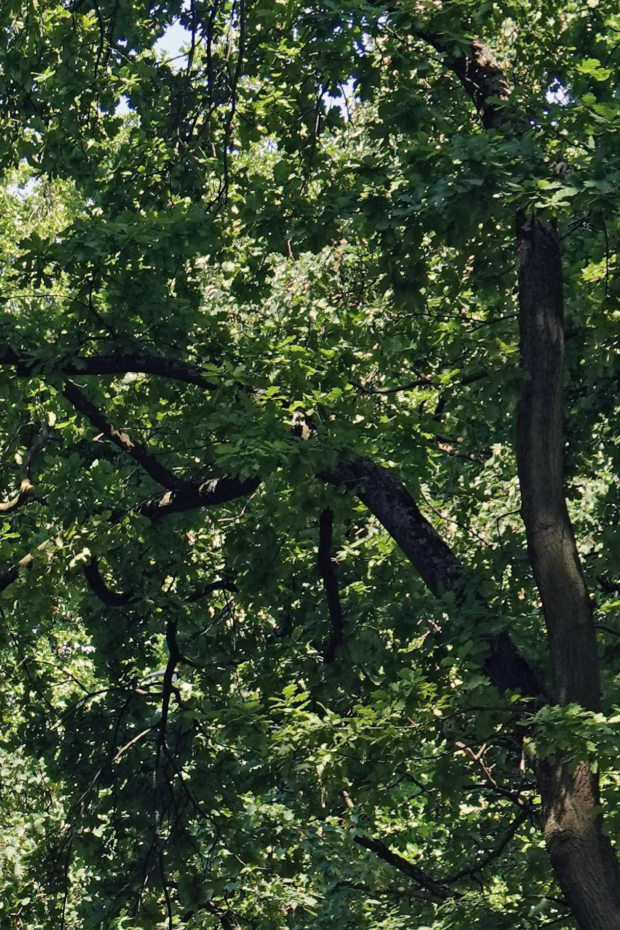 250704.004_13