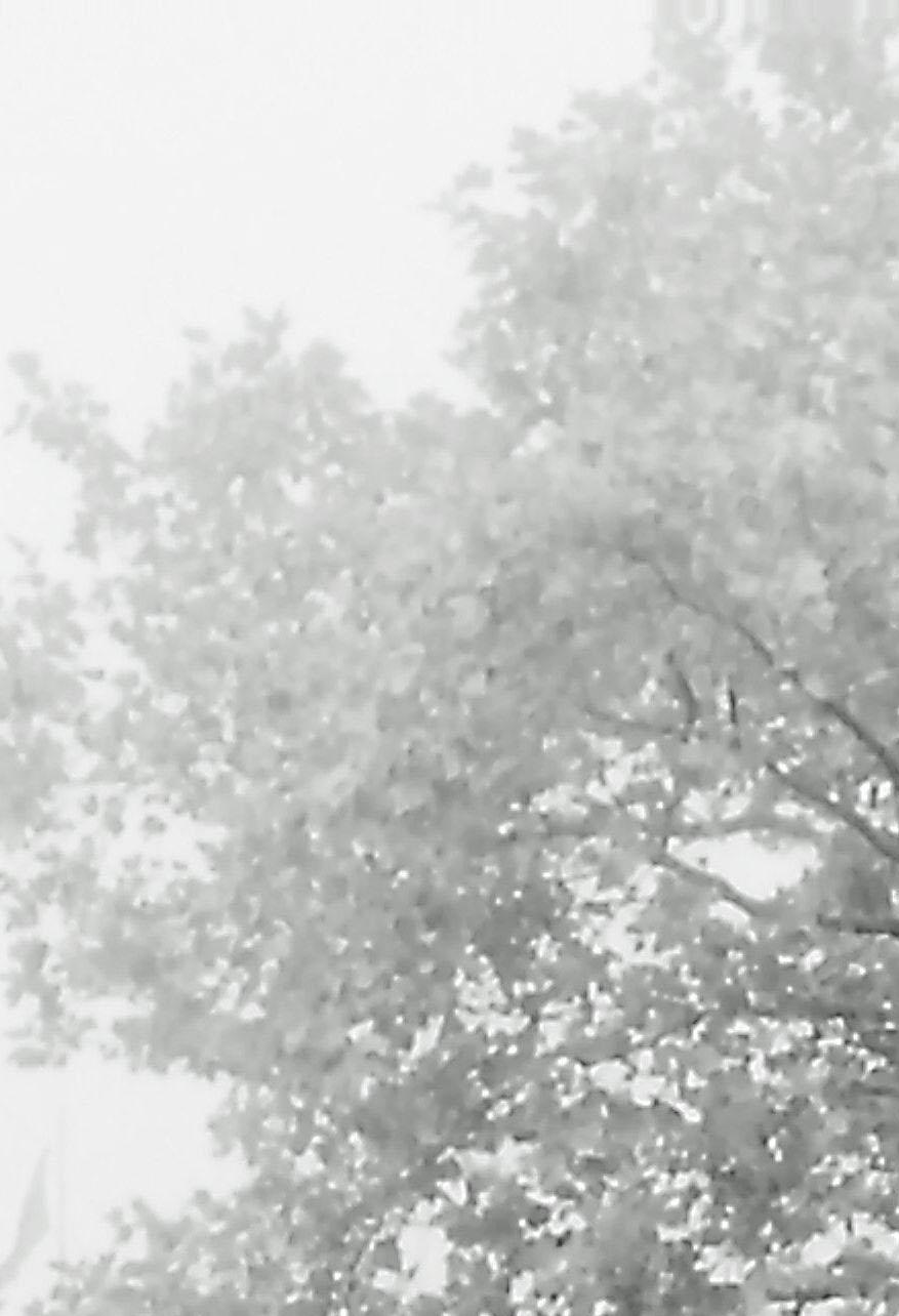 9008xx.n384.024_11