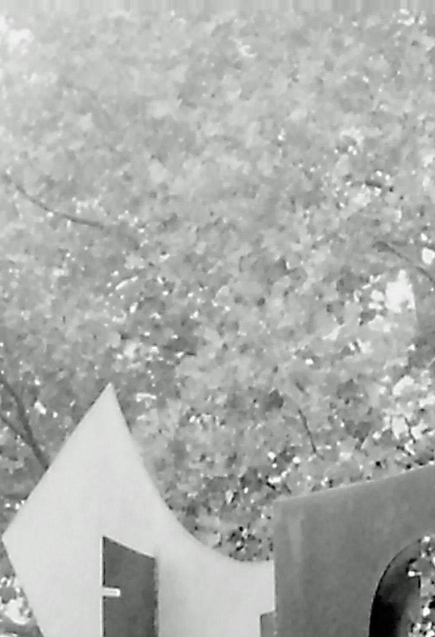 9008xx.n384.024_12