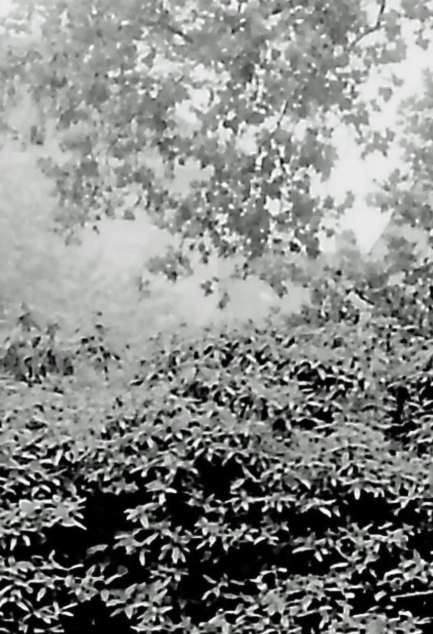 9008xx.n384.024_21