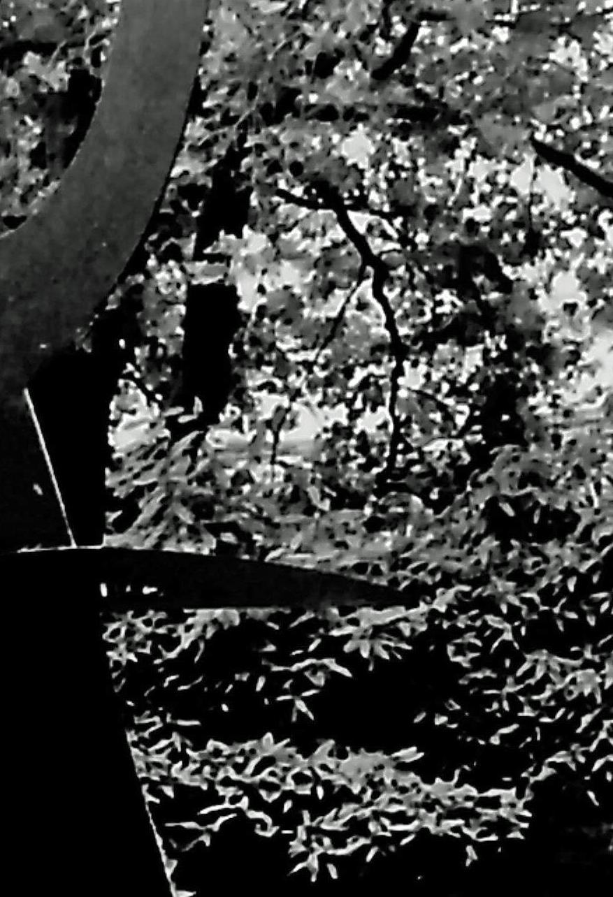 9008xx.n384.024_23