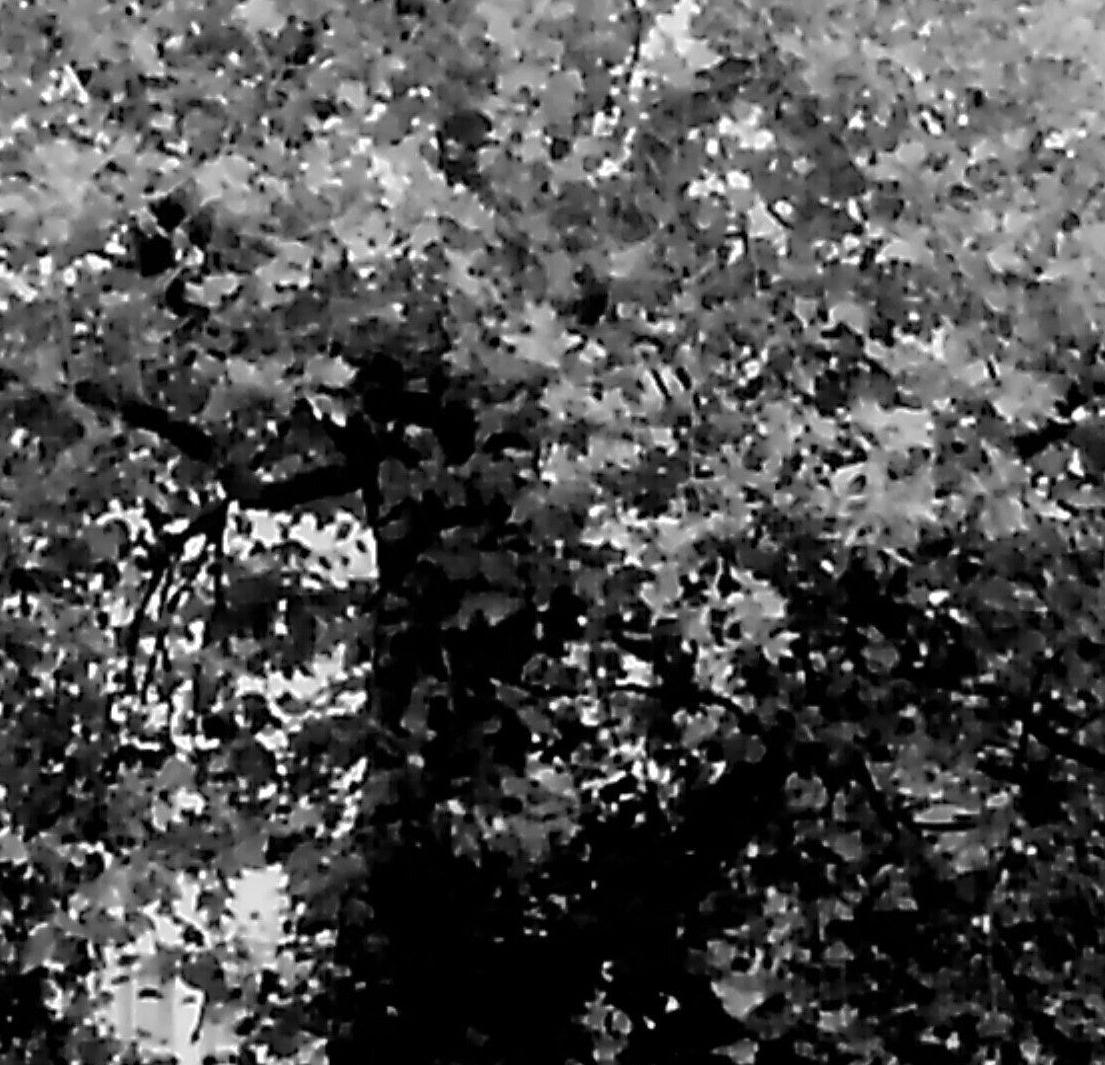9008xxn.384.026_21