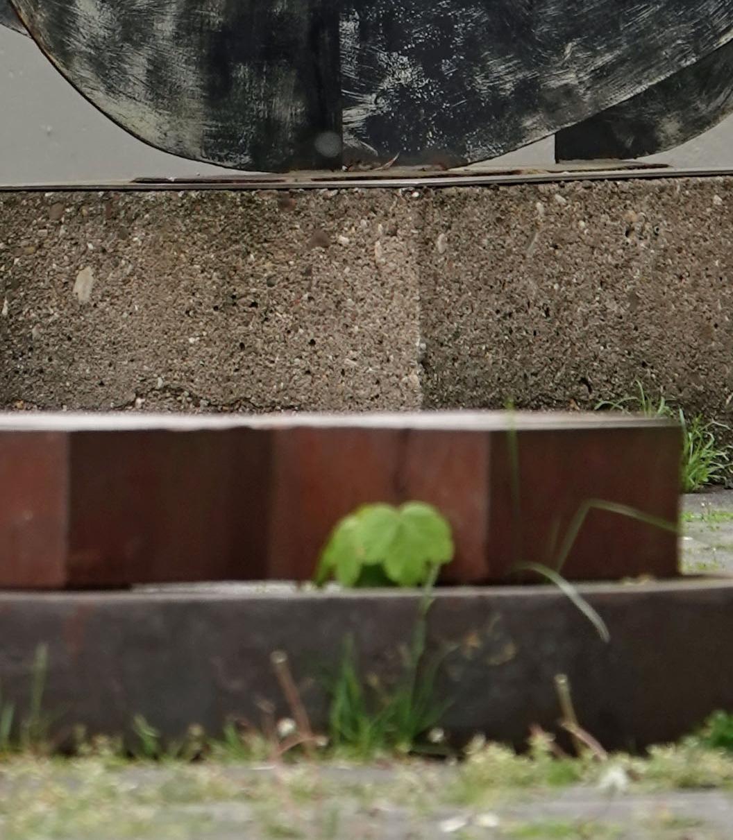 230507.023_32