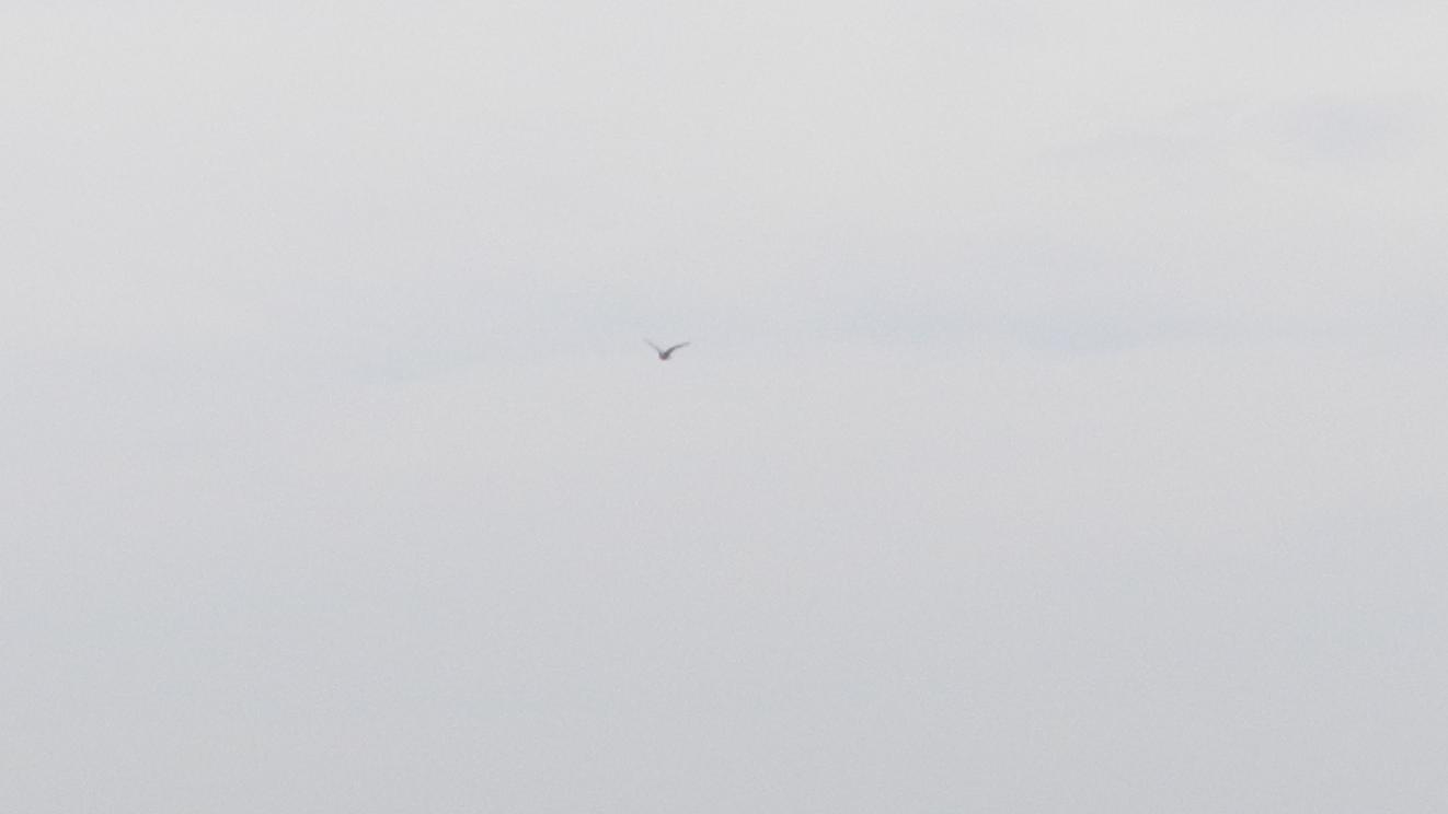 130830.011_13