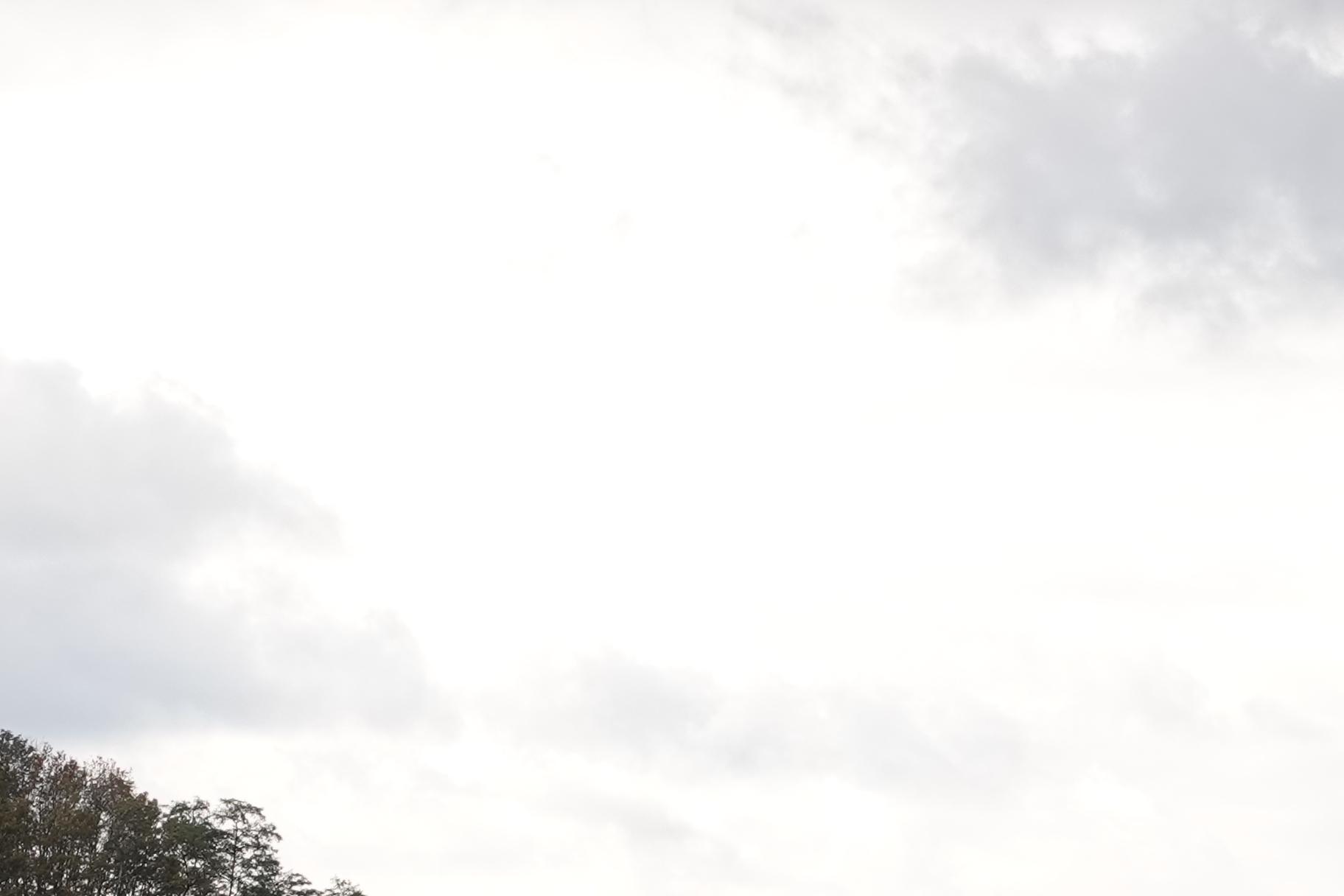 201011.036_13